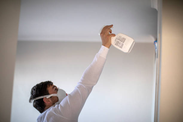 Office Mold Removal Services in Ara, AL