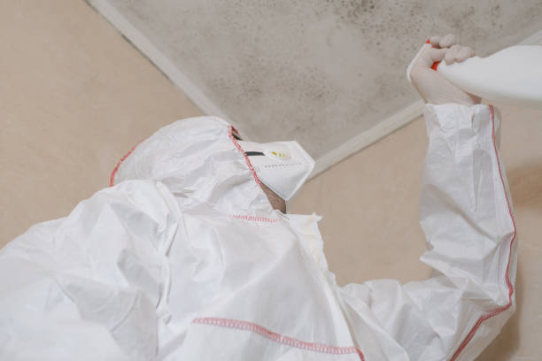 Best Office Mold Removal Services  in Ara, AL
